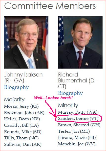 2-5-2016-Senate Veterans Committee_B